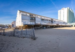 03-atlamric-3113-12-3.jpg 03-atlamric-3113-12-3.jpg