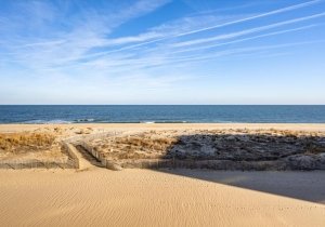 71-atlamric-3113-12-71.jpg 71-atlamric-3113-12-71.jpg