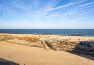 72-atlamric-3113-12-72.jpg 72-atlamric-3113-12-72.jpg