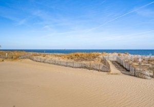 78-atlamric-3113-12-78.jpg 78-atlamric-3113-12-78.jpg