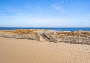 79-atlamric-3113-12-79.jpg 79-atlamric-3113-12-79.jpg