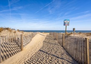 82-atlamric-3113-12-82.jpg 82-atlamric-3113-12-82.jpg