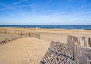 83-atlamric-3113-12-83.jpg 83-atlamric-3113-12-83.jpg