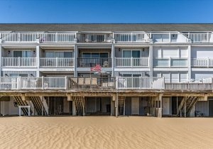 84-atlamric-3113-12-84.jpg 84-atlamric-3113-12-84.jpg