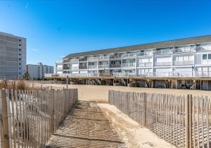 87-atlamric-3113-12-87.jpg 87-atlamric-3113-12-87.jpg