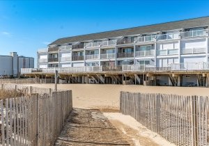 88-atlamric-3113-12-88.jpg 88-atlamric-3113-12-88.jpg