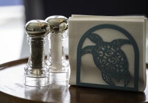 18-turtle-napkins.jpg