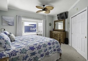 21-sea-turtle-primary-br3.jpg