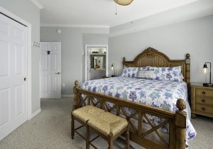 22-sea-turtle-primary-br4.jpg